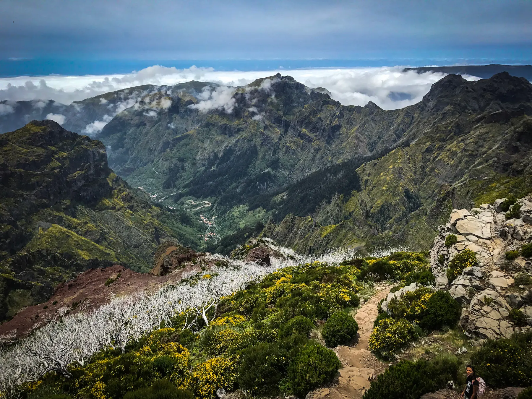 Madeira | Lisbon | Porto | Albufeira